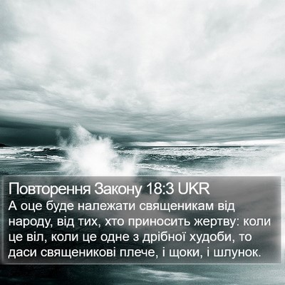 Повторення Закону 18:3 UKR Bible Verse Image