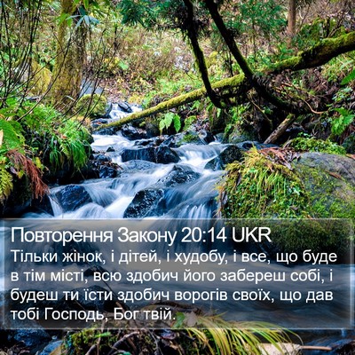 Повторення Закону 20:14 UKR Bible Verse Image