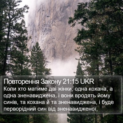 Повторення Закону 21:15 UKR Bible Verse Image