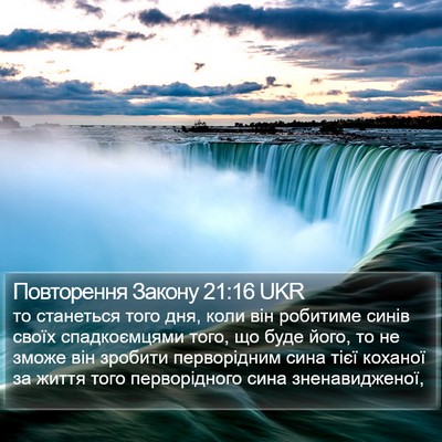 Повторення Закону 21:16 UKR Bible Verse Image