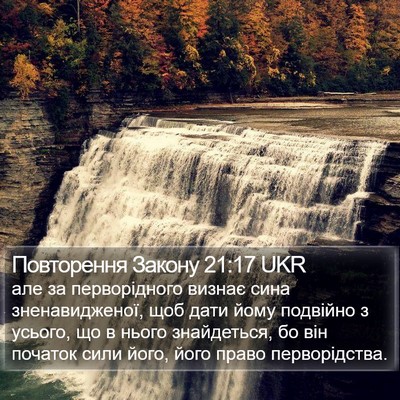 Повторення Закону 21:17 UKR Bible Verse Image