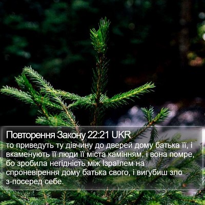 Повторення Закону 22:21 UKR Bible Verse Image