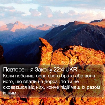 Повторення Закону 22:4 UKR Bible Verse Image