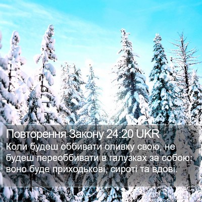 Повторення Закону 24:20 UKR Bible Verse Image