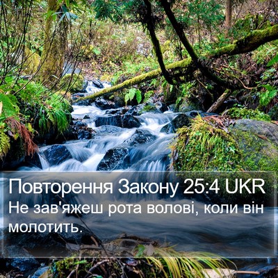 Повторення Закону 25:4 UKR Bible Verse Image