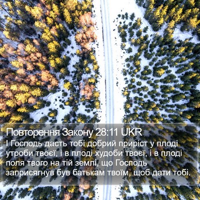 Повторення Закону 28:11 UKR Bible Verse Image