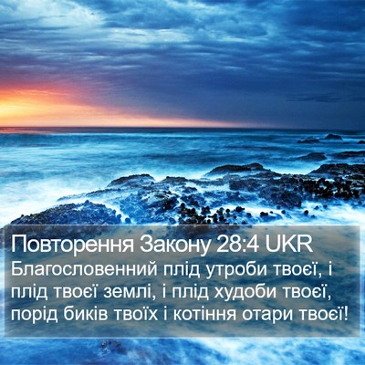 Повторення Закону 28:4 UKR Bible Verse Image