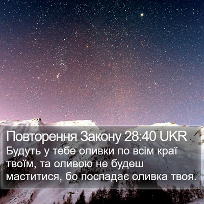 Повторення Закону 28:40 UKR Bible Verse Image