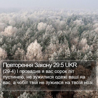 Повторення Закону 29:5 UKR Bible Verse Image