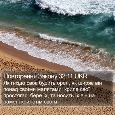 Повторення Закону 32:11 UKR Bible Verse Image