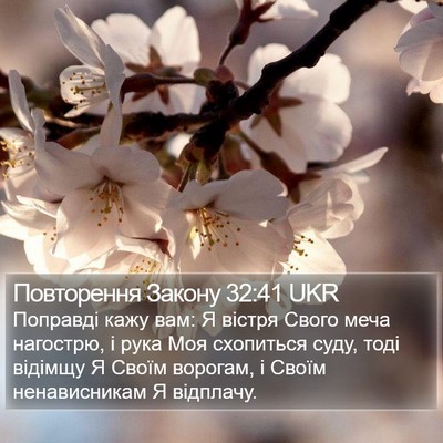 Повторення Закону 32:41 UKR Bible Verse Image