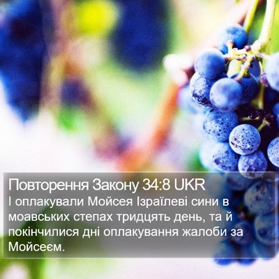 Повторення Закону 34:8 UKR Bible Verse Image