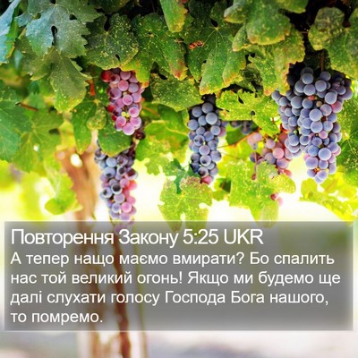 Повторення Закону 5:25 UKR Bible Verse Image