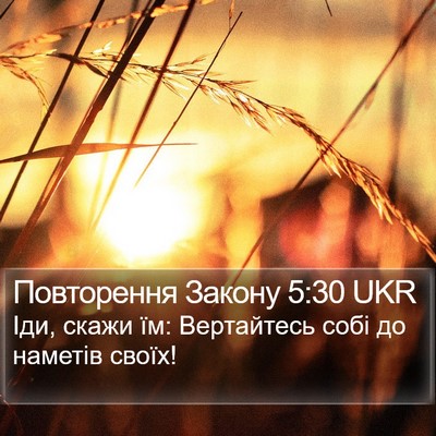Повторення Закону 5:30 UKR Bible Verse Image