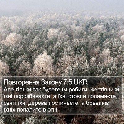 Повторення Закону 7:5 UKR Bible Verse Image