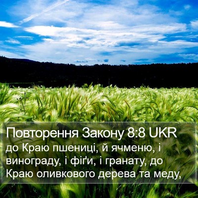 Повторення Закону 8:8 UKR Bible Verse Image