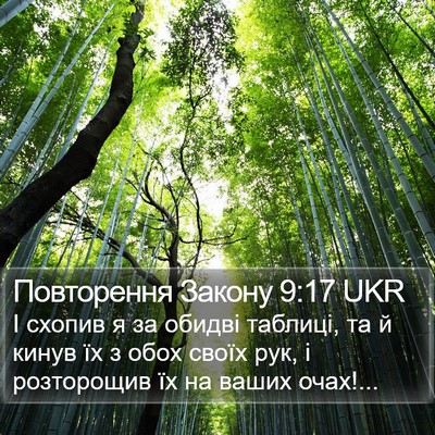 Повторення Закону 9:17 UKR Bible Verse Image