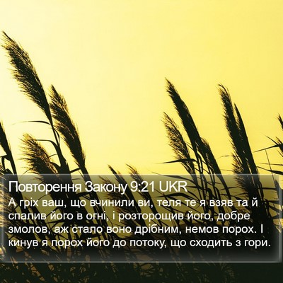 Повторення Закону 9:21 UKR Bible Verse Image