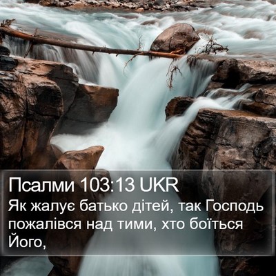 Псалми 103:13 UKR Bible Verse Image