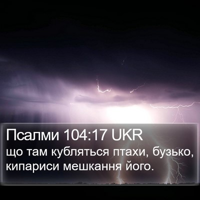 Псалми 104:17 UKR Bible Verse Image