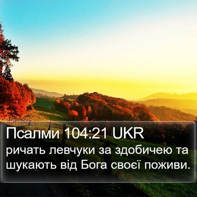 Псалми 104:21 UKR Bible Verse Image