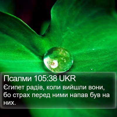Псалми 105:38 UKR Bible Verse Image