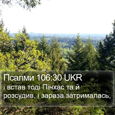 Псалми 106:30 UKR Bible Verse Image