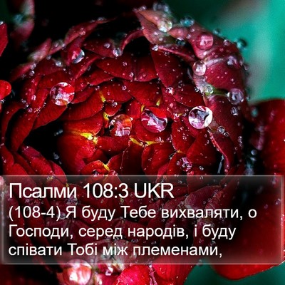 Псалми 108:3 UKR Bible Verse Image