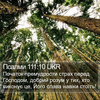 Псалми 111:10 UKR Bible Verse Image