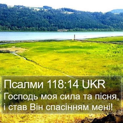 Псалми 118:14 UKR Bible Verse Image
