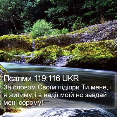 Псалми 119:116 UKR Bible Verse Image