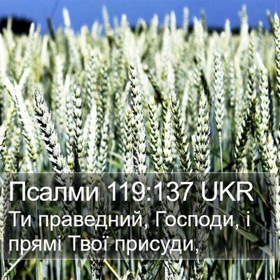 Псалми 119:137 UKR Bible Verse Image