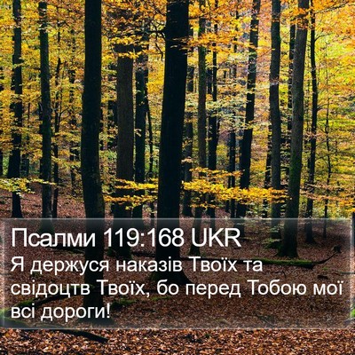 Псалми 119:168 UKR Bible Verse Image