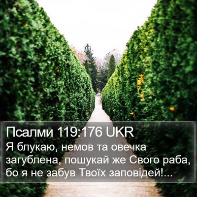 Псалми 119:176 UKR Bible Verse Image