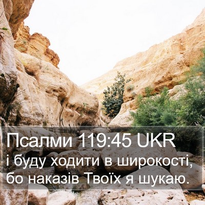 Псалми 119:45 UKR Bible Verse Image