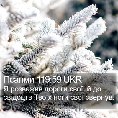 Псалми 119:59 UKR Bible Verse Image