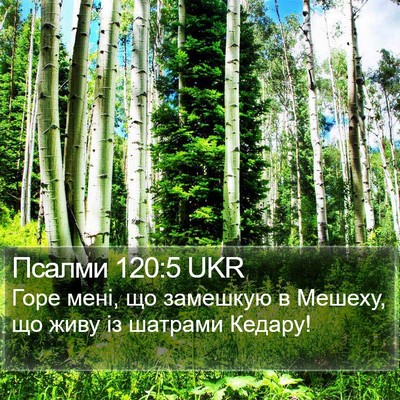 Псалми 120:5 UKR Bible Verse Image