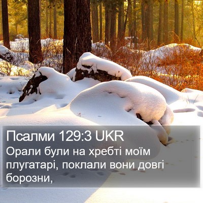 Псалми 129:3 UKR Bible Verse Image