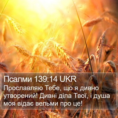 Псалми 139:14 UKR Bible Verse Image