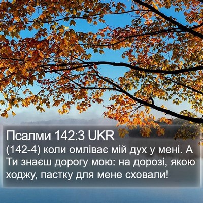 Псалми 142:3 UKR Bible Verse Image