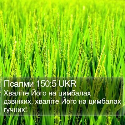 Псалми 150:5 UKR Bible Verse Image