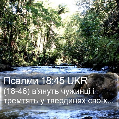 Псалми 18:45 UKR Bible Verse Image
