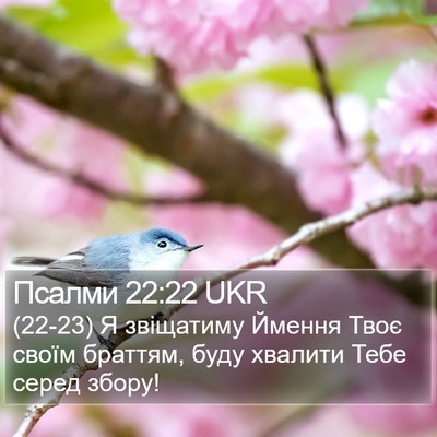 Псалми 22:22 UKR Bible Verse Image