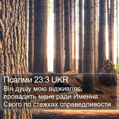 Псалми 23:3 UKR Bible Verse Image