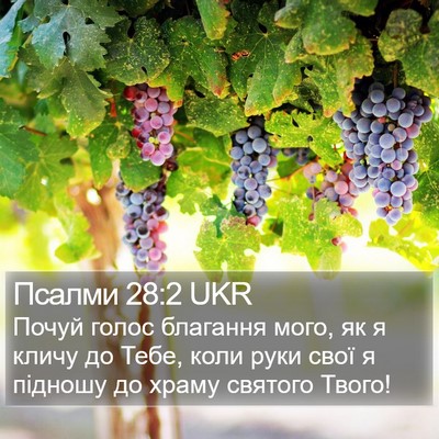 Псалми 28:2 UKR Bible Verse Image
