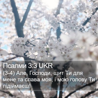 Псалми 3:3 UKR Bible Verse Image