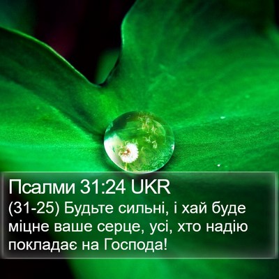 Псалми 31:24 UKR Bible Verse Image