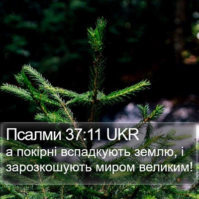 Псалми 37:11 UKR Bible Verse Image