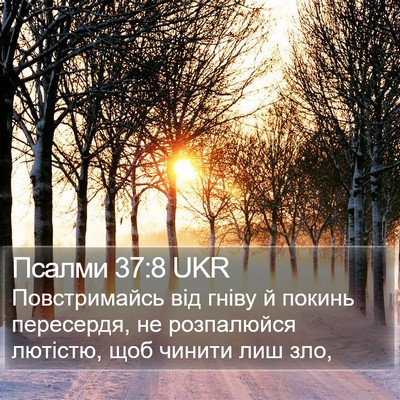 Псалми 37:8 UKR Bible Verse Image