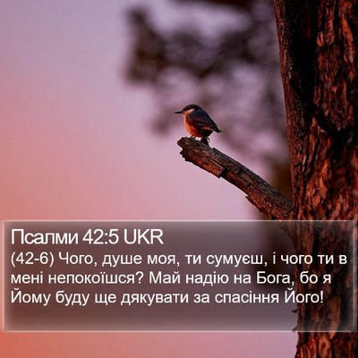 Псалми 42:5 UKR Bible Verse Image